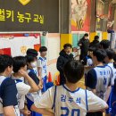 벌키스포츠