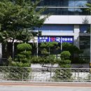 푸른나무약국 이미지