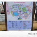 카페퀴너스 | 파주 프로방스 마을 빛축제 야경 명소 (카페 주차 할인)