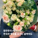 영국농장 | [잠깐한국] #한국-6. 한국과 영국을 오가는 삶까지도