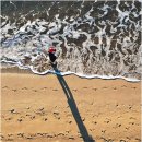 아침해변 이미지