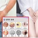 성병종류 남성 여성 여자 성병 증상 검사 헤르페스 이미지