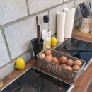 도토리 하우스 이미지