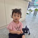 <평택 안중 안경점> 이태리안경 방문 후기(유아 선글라스, 명품 선글라스, 고급 안경테 등)