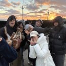 우리들의월정리 이미지