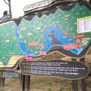 느티울1,2길 네이버블로그