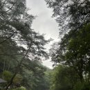 산골캠핑장 이미지