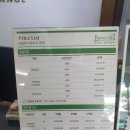 파디글스 이미지