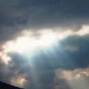 삼락강변공원 이미지