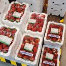 익산원예농협하나로마트 이미지