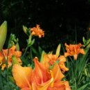 은향교회 이미지