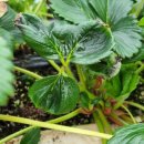 잘커농장 이미지