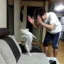 오심헤어