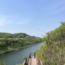 아라애견 이미지