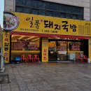 일품돼지국밥 삼덕점 이미지