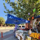 버스정류장 07-168 | 터키 여행일정 파묵칼레에서 이스탄불 / 젤라또 아이스크림 / 마이리얼트립 7월 할인쿠폰