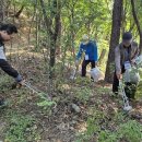 남대전고총동문회, 2024 남고인의 날 '보문산 줍깅' 펼쳐 ‘눈길’ 이미지