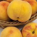 용택농장 이미지