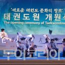 성지태권도 이미지