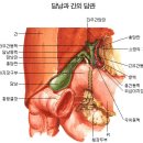 NAQ(Nutritional Assessment Questionaire) ~ 영양 평가 설문(NAQ) 321 문항 해설 이미지