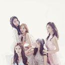 스텔라 이미지