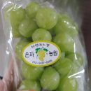 은자농장 이미지