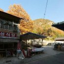영성식당 이미지