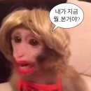 에스터인넷