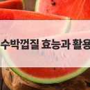 아사삭과일 - 남해군 망운로 60 | 아사삭과일