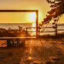 바닷길 풍경 이미지