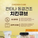 주식회사 펫라이프 이미지