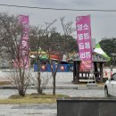 상공회의소(롯데마트방면) | [안동] 2026 안동벚꽃축제 :: 주차 안내 / 무료 콘서트 일정 및 라인업 / 운영시간 / 개화현황 / 버블...