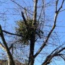 매리휴게소 이미지