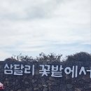 의귀환승정류장 이미지