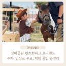 경마공원역 1번출구 | 경마공원 렛츠런파크 포니랜드 주차·입장료 무료·체험 꿀팁 총정리 (1편)