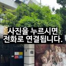 용산-현장-244 이미지