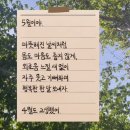 옥돌PC방 이미지