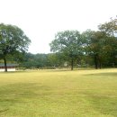 고향풍년 이미지