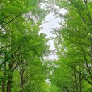 동성마을 (제주버스터미널방면) | 겨울 삿포로 여행 (1) _ 삿포로 시내에서 조잔케이 온천마을