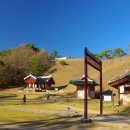 영월-72 Daum카페