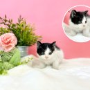 씨사이드모텔1 이미지