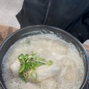 백제13월중동점 | 창원 삼계탕 백제13월 중동점 : 내돈내산 솔직후기
