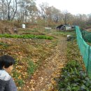 면중초등학교 이미지