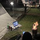 피플앤독 이미지