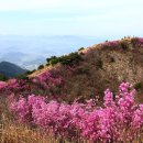 화왕산 이미지