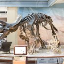 서대문자연사박물관 이미지