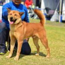 한진농장 이미지