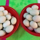 크리점빵 이미지