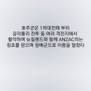 새랑 싸워서 진 나라가 있다?(에뮤전쟁) 이미지