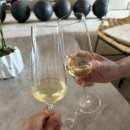 팜 아틀리에 | 여행] LA-칸쿤 8일차(팜투어스냅촬영,아뜰리에 무헤레스 리조트 올인클루시브 후기, 아뜰리에 식당 추천)